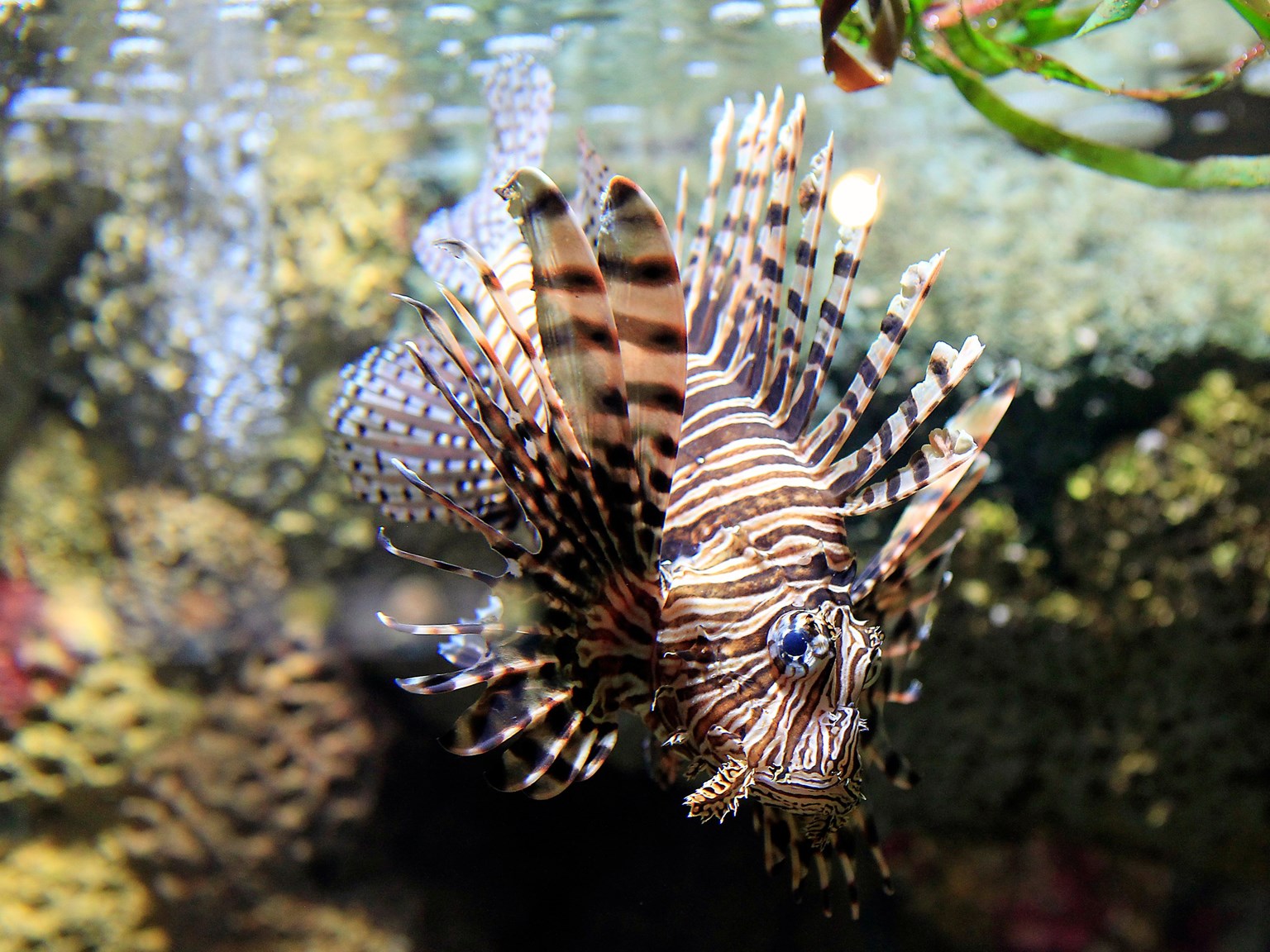 ©SEA LIFE Scheveningen.